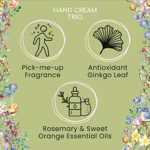 Lavender Fields Hand Cream Collection - Vegan Friendly Moisturizer Gift Set with Essential Oils - Flower Of Focus Variation