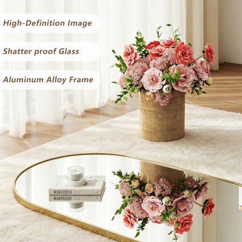 MyVoice 25x65 Inch Gold Arched Freestanding Full Length Mirror with Metal Frame - White Finish