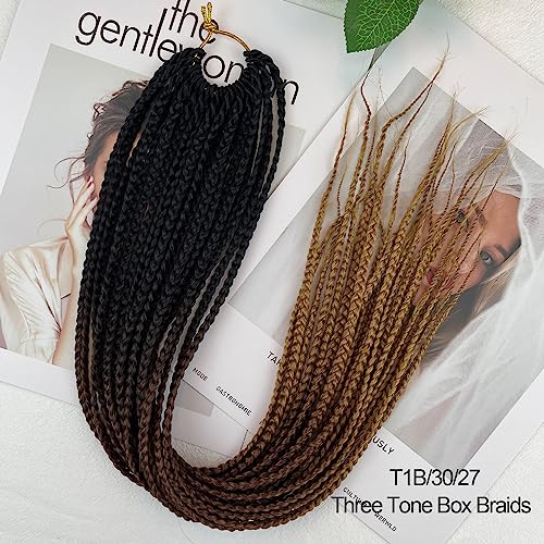 20 Inch Ombre Crochet Box Braids for Black Women - 6 Packs, 1B/30/27 Variation