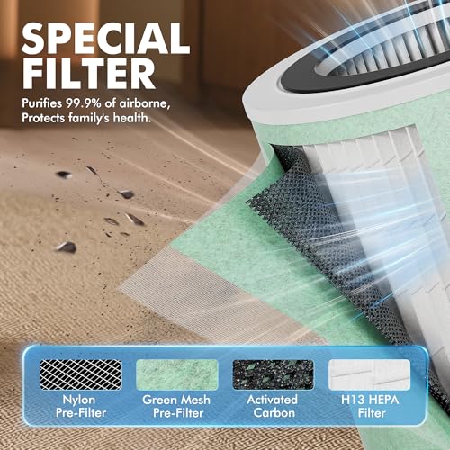Standard Version 2 Pack Air Purifier Replacement Filters for MR7566