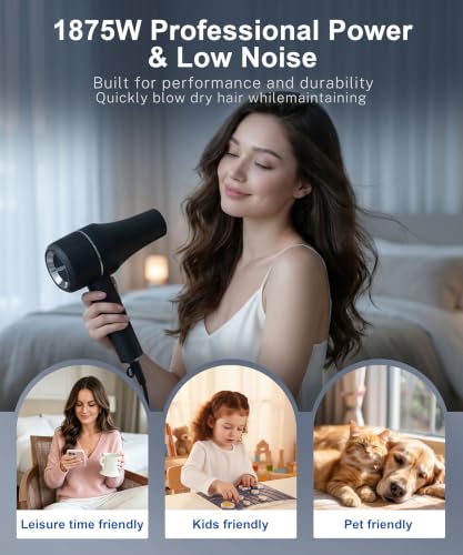 Flashbase Black Professional Ionic Hair Dryer 1875W with Diffuser