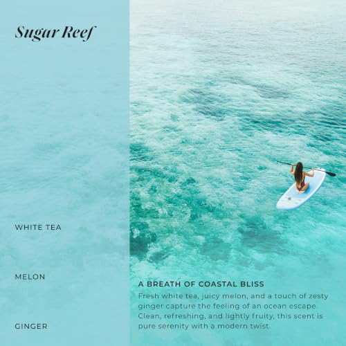 LALICIOUS Sugar Reef Shower Oil & Bubble Bath 10 Fl Oz - Moisturizing Body Wash with Probiotics & Grapeseed Oil