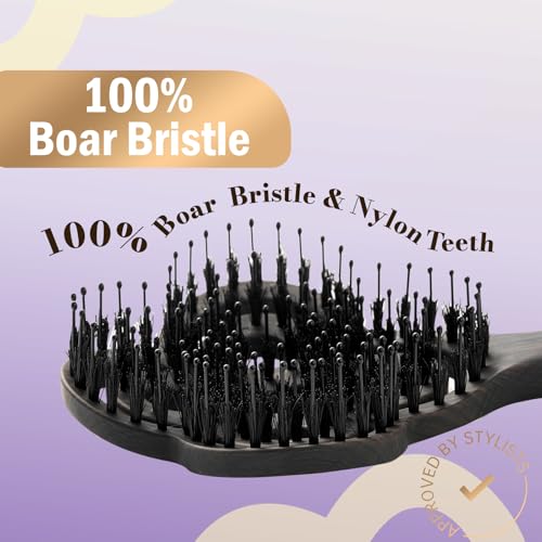 Simetra Detangler Hair Brush for Women & Men - Brown-Purple, Natural Boar Bristles, Crystal & Gold Finish