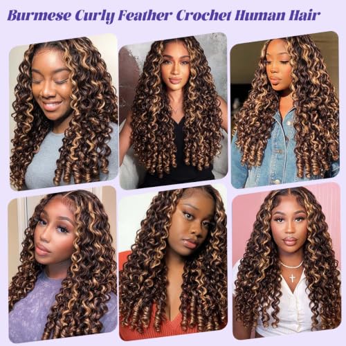 Highlight Feather Crochet Hair 14 Inch - Honey Brown Ombré Spiral Curl, Invisible Knots, Pre-separated Human Hair Extension - Variation of THIS listing