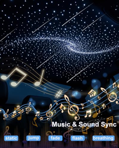 DIICRIN Twinkle & Meteor Starlight Headliner Kit - 750pcs Fiber Optic Star Ceiling
