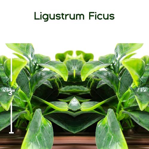 Artificial Privacy Grass Wall Decor - Ficus Leaf, 20x50 Inches - Faux Outdoor Fence Covering, Garden Screen, Balcony Privacy Panel - Ficus Leaf Variation