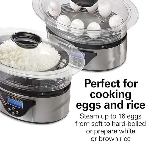 Electric Food Steamer and Rice Cooker 2-Tier 5.5 Qt Black & Stainless Steel - Stackable