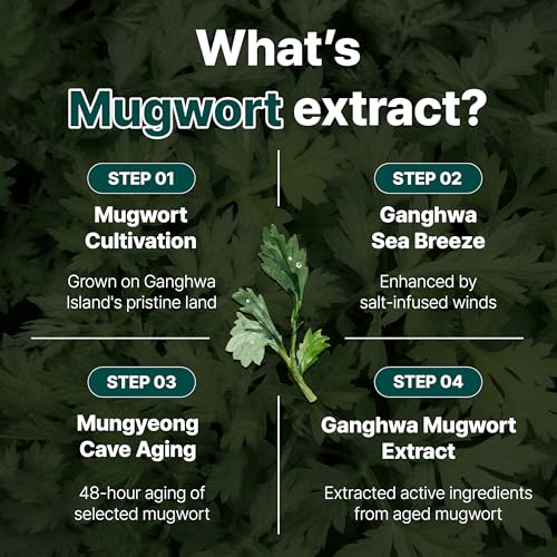 Pore Refining Moisturizer with Mugwort for Sensitive Oily Skin - 50ml