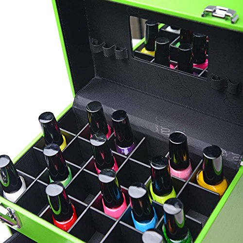 SHANY Color Matters - Makeup Travel Case Nail Accessories Organizer and Makeup Train Case - Makeup Storage Box - Bird of Paradise