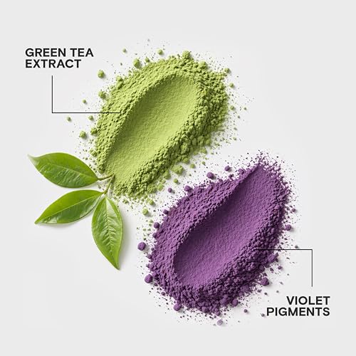 Purple Shampoo & Conditioner Set 33.8 Fl Oz - Eliminates Brassy Yellow Tones for Blonde & Gray Hair - Variation: Pack of 2