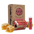 Natural Rose Lip Balm Pack of 24 - Handmade Beeswax Moisturizer with Organic Coconut & Olive Oil