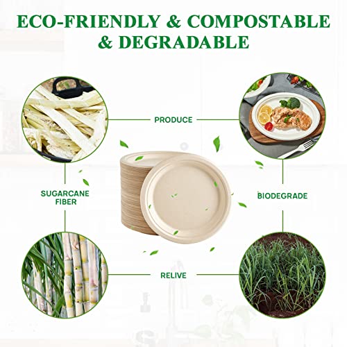 Vplus 500 Pack 9-Inch Compostable Sugarcane Fiber Plates Eco-Friendly Durable Dinnerware