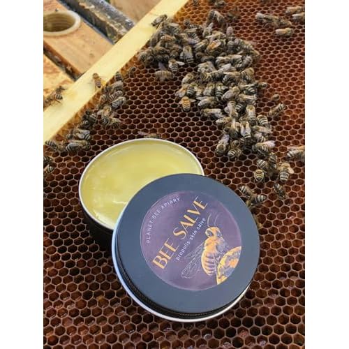 UNSCENTED BEE SALVE 1oz ? Beeswax & Propolis Skin Moisturizer ? All Natural, Small Batch