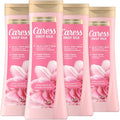 Caress Daily Silk Body Wash Pack of 4 - Moisturizing Shower Gel with White Peach & Orange Blossom - 20 fl oz each