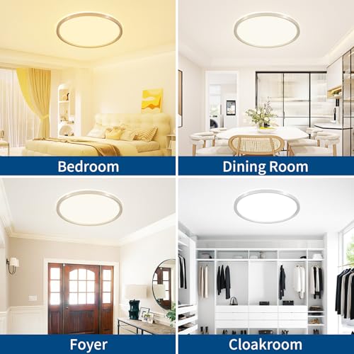 24 Inch Large LED Flush Mount Ceiling Light Fixture Dimmable Brushed Nickel - Variation of Brushed Nickel / 24 Inch
