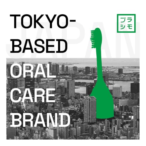 Rechargeable Electric Toothbrush with 3 Modes & 2 Brush Heads - Waterproof & Travel Case