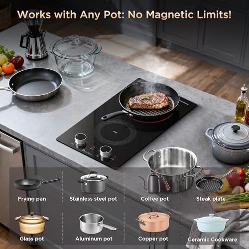 2 Burner Electric Cooktop 110V with Knob Control - 12 Inch, Dual 1800W, Safety Features