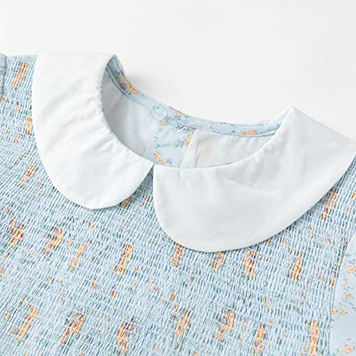 Toddler Girls Smocked Dress - Light Blue, 18 Months - Simplee Kids
