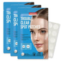 Fab Tab Foaming Hand Soap Kit - Natural Hand Soap - Bathroom Hand Wash - Plant-Based - No Harsh Chemicals - Variety scents - 4 Pack. Makes 4 x 11.9 fl oz (Bottle Not Included)