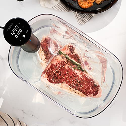 Anova Nano Sous Vide Cooker 3.0 - Black, 800W, WiFi & Touch Screen