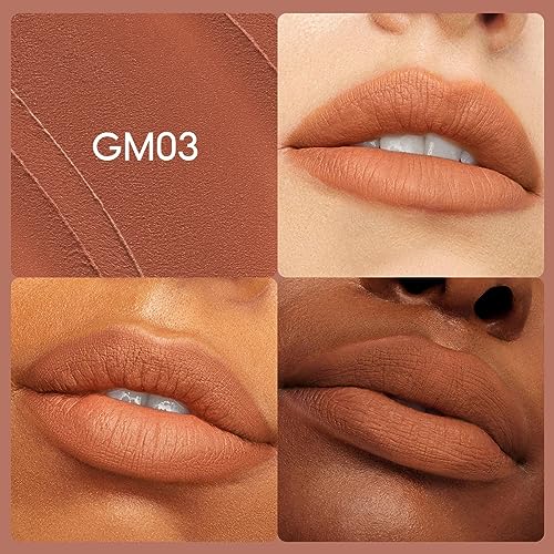 CARSLAN Velvet Matte Lipstick, High Pigment Lip Mud, Longwear, Lightweight, Smooth, Moisturizing Lipstick with Vitamin E, Hyaluronic Acid, GM03