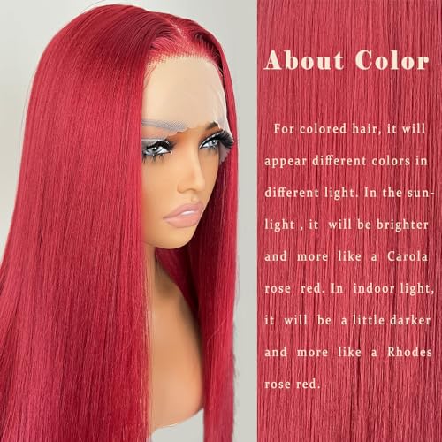 Rose Red Straight Lace Front Wig 26 Inch Glueless Synthetic Hair for Women - FABÉLLE