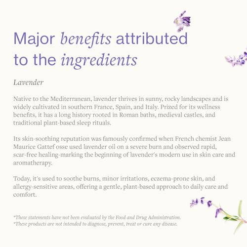 Swiss Just Lavender Cream 60g - Herbal Cream with Lavender Oil, Witch Hazel, and Aloe Vera - Eases Discomfort for Burns, Dermatitis, and Itchy Skin