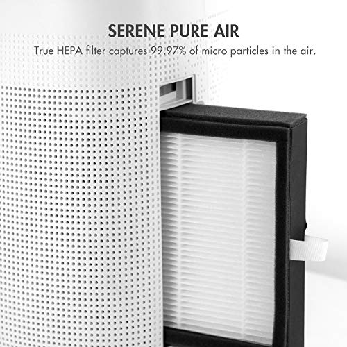Tenergy Sorbi 1000ml Air Dehumidifier & Air Purifier with HEPA Filter, Auto Shutoff, Touch Control, Ultra-Quiet - Ideal for Closets & Bathrooms
