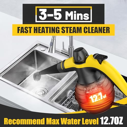 SteamWise Black Handheld Steam Cleaner with 10 Accessories, Safe Multi-Purpose Home & Car Steamer