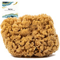 Naroa X Large Natural Shower Sponge - Unbleached Body Scrubber Loofah, Eco-Friendly & Plastic-Free