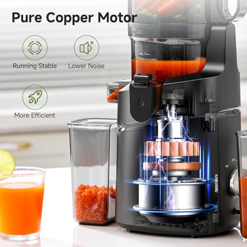 AMZCHEF Cold Press Juicer with 5.8-Inch Wide Mouth Hopper - Black
