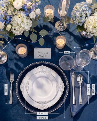 White and Silver Disposable Plastic Dinnerware Set for 100 Guests - Baroque Style