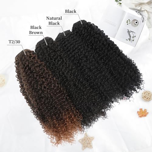 Pink Mango Clip-In Hair Extensions - 6PCS Curly Silk Protein Kinky Hair