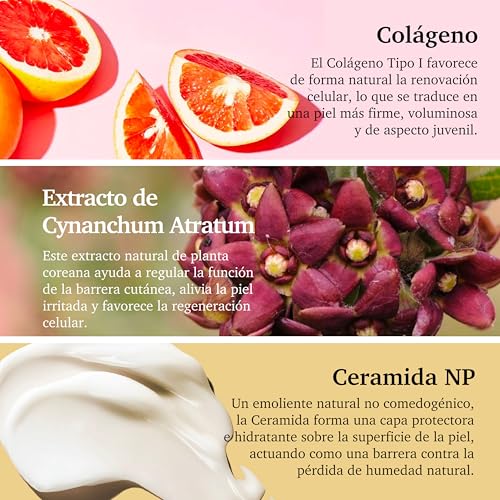 Purifect Collagen Serum for Face - Anti Aging, Firming & Plumping with Vitamin E & Ceramide NP ? Made in USA | 7 Collagen Types, Face Tightening and Lifting for brighter, more radiant skin 30 ml