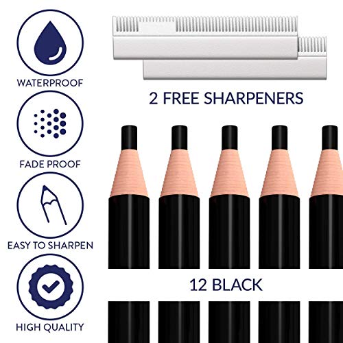 Bundle of Microblading Supplies 6 Piece Inkless Double Sided Practice Skin For Eyebrow Tattoos and 12 Piece Waterproof Eyebrow Pencil, Mapping Pencil Set To Practice Brow Micro-Blading And Needling