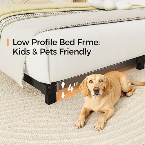 4 Inch Queen Size Low Profile Metal Bed Frame - Heavy Duty Steel Support, Noise-Free, Easy Assembly