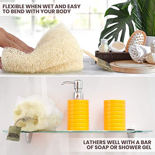 Natural Egyptian Shower Loofah Sponge & Back Scrubber Set - Exfoliating Body Buffers