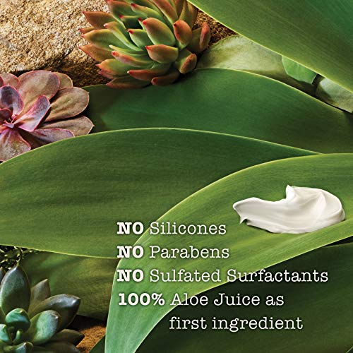 Detoxifying Volcanic Ash Conditioner 13 Fl Oz - Maui Moisture