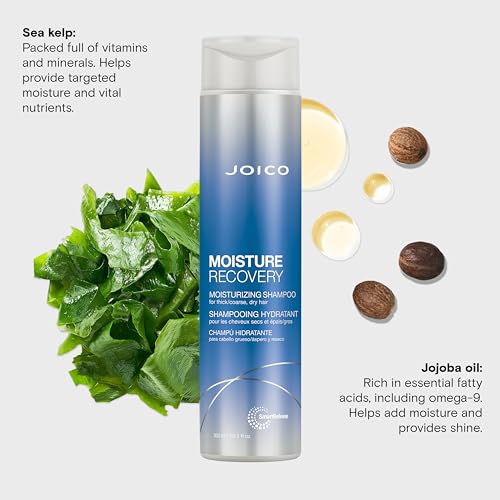 Joico Moisture Recovery Moisturizing Shampoo | For Thick, Coarse, Dry Hair | Replenish Moisture | Restore Smoothness & Elasticity | Reduce Breakage | Increase Strength | With Jojoba Oil & Shea Butter