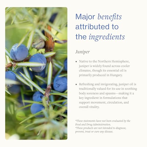Juniper Massage Cream 96g for Muscle Relief, Relaxation & Tension Relief