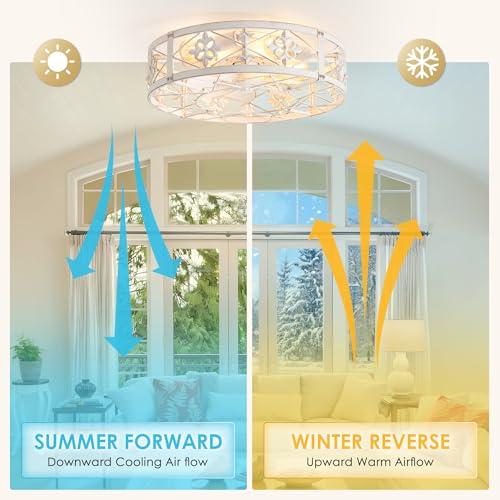 Farmhouse Caged Ceiling Fan with Light - 20 Inch Distressed White with Remote