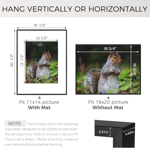 Real Glass Black Aluminum 16x20 Frame Set - Pack of 3 with Mat