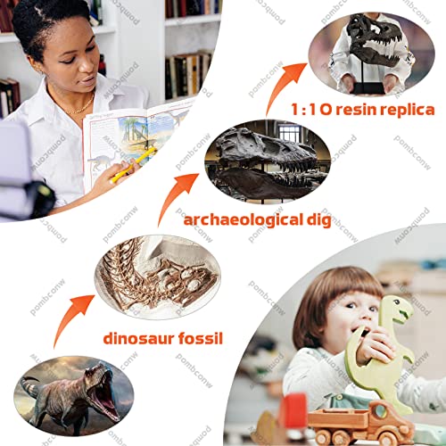 Large T Rex Skull Dinosaur Resin Statue - Fossil Replica Skeleton Decor