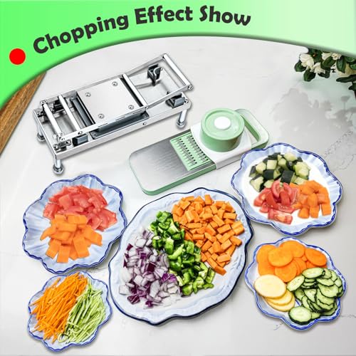 Vegetable Chopper with 10 Interchangeable Blades Food Dicer Vegetable Cutter with Container