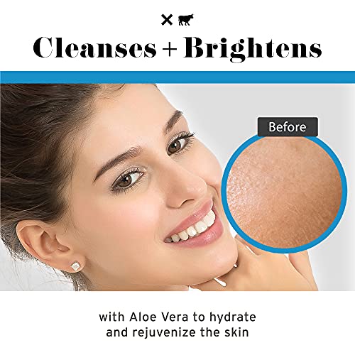 No Bad Stuff - Foaming Cleanser, Natural Face Wash with Cucumber, Green Tea & Aloe Vera, for Oily, Combination, Dry, Normal, Sensitive & Acne Skin, Gluten Free & Vegan, 5.4 FL Oz