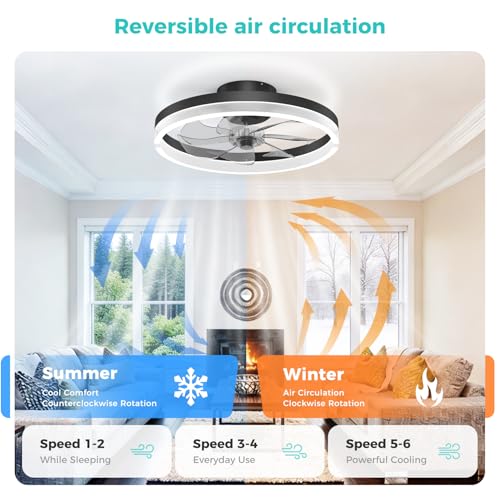 Franjulia 20-Inch RGB Low Profile Ceiling Fan with Lights & Remote - Black