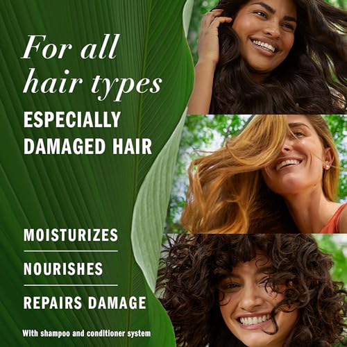 Herbal Essences Argan Oil of Morocco Conditioner, 13.5 oz