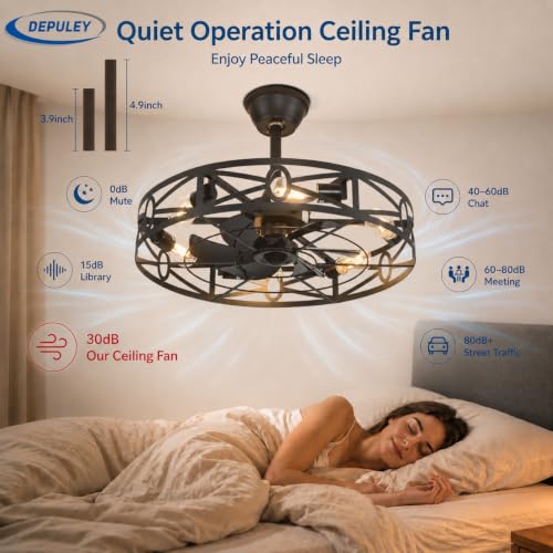 Black 24-Inch Caged Ceiling Fan with Light & Remote - Farmhouse Industrial Style