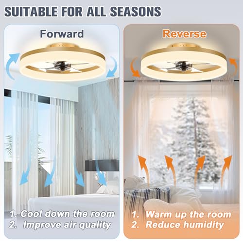Gold Low Profile Ceiling Fan with Lights and Remote 19.7in Smart Bladeless LED Fandelier