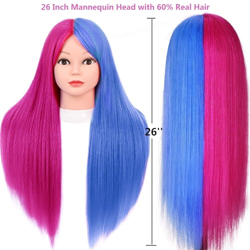 Mannequin Head with 60% Real Human Hair - Cosmetology Practice Head with Table Stand - Rosy and Blue Variation